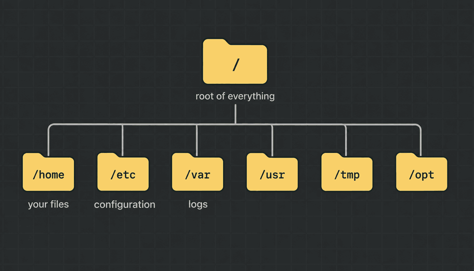 The Linux directory tree starting at a single forward slash, with /home, /etc, /var, /usr, /tmp and /opt branching off it