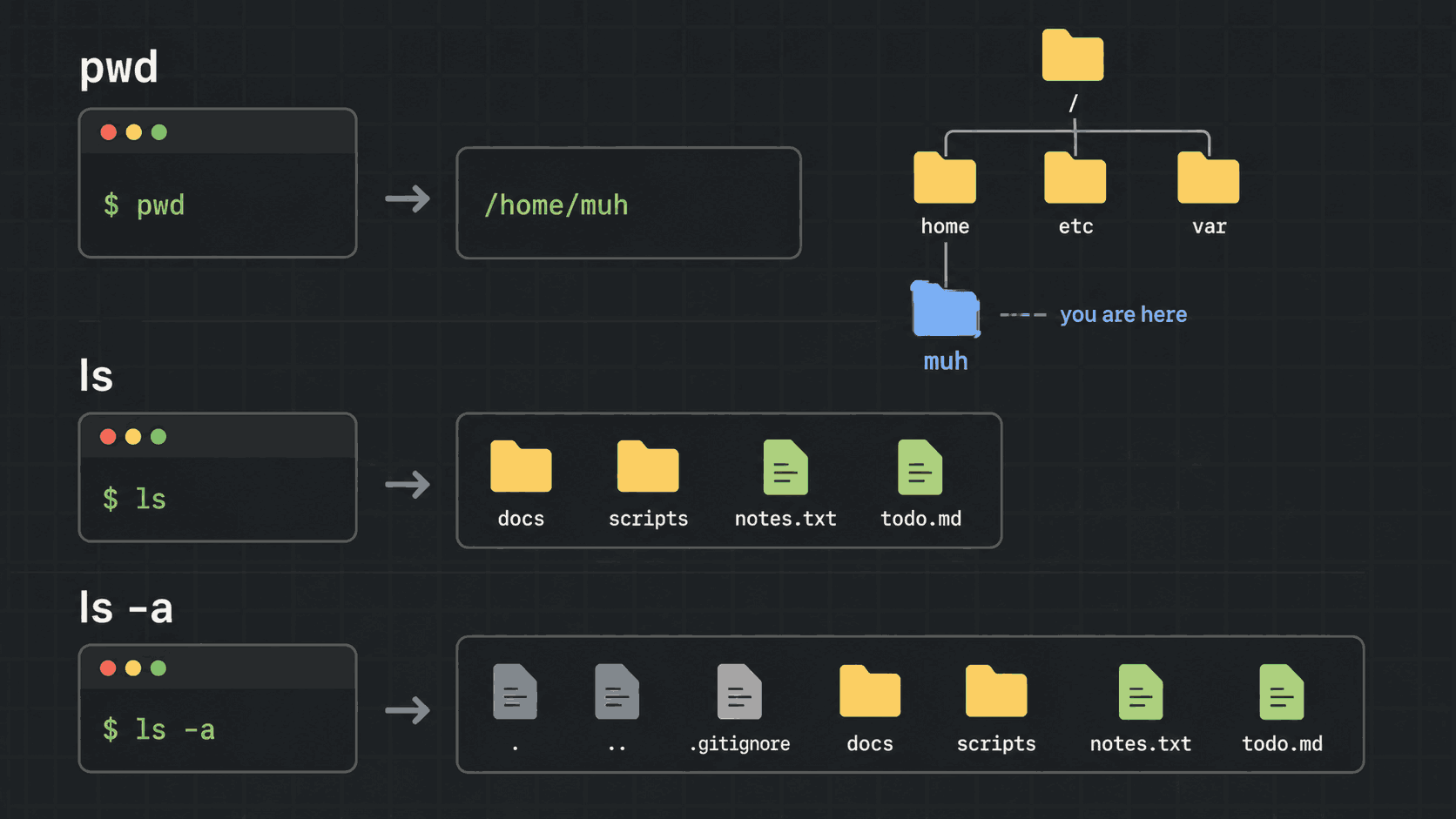 pwd printing the current path, ls listing visible files, and ls -a revealing hidden dot-files in the same folder