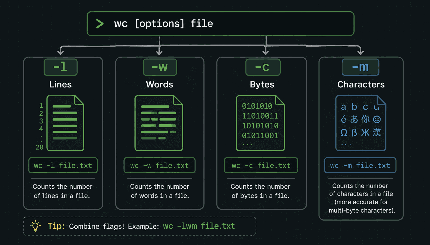 Four keys labelled -l, -w, -c and -m with their meanings: count lines, count words, count bytes, count characters