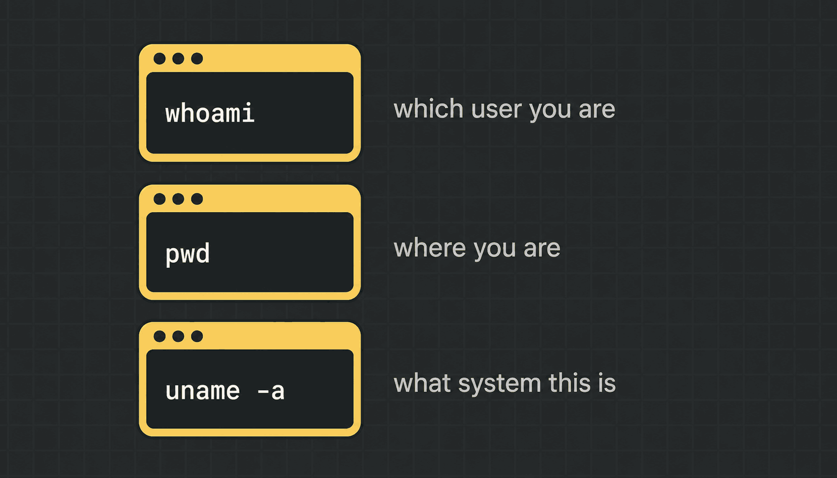 Three terminal windows showing whoami, pwd and uname -a, each with its plain-English meaning beside it