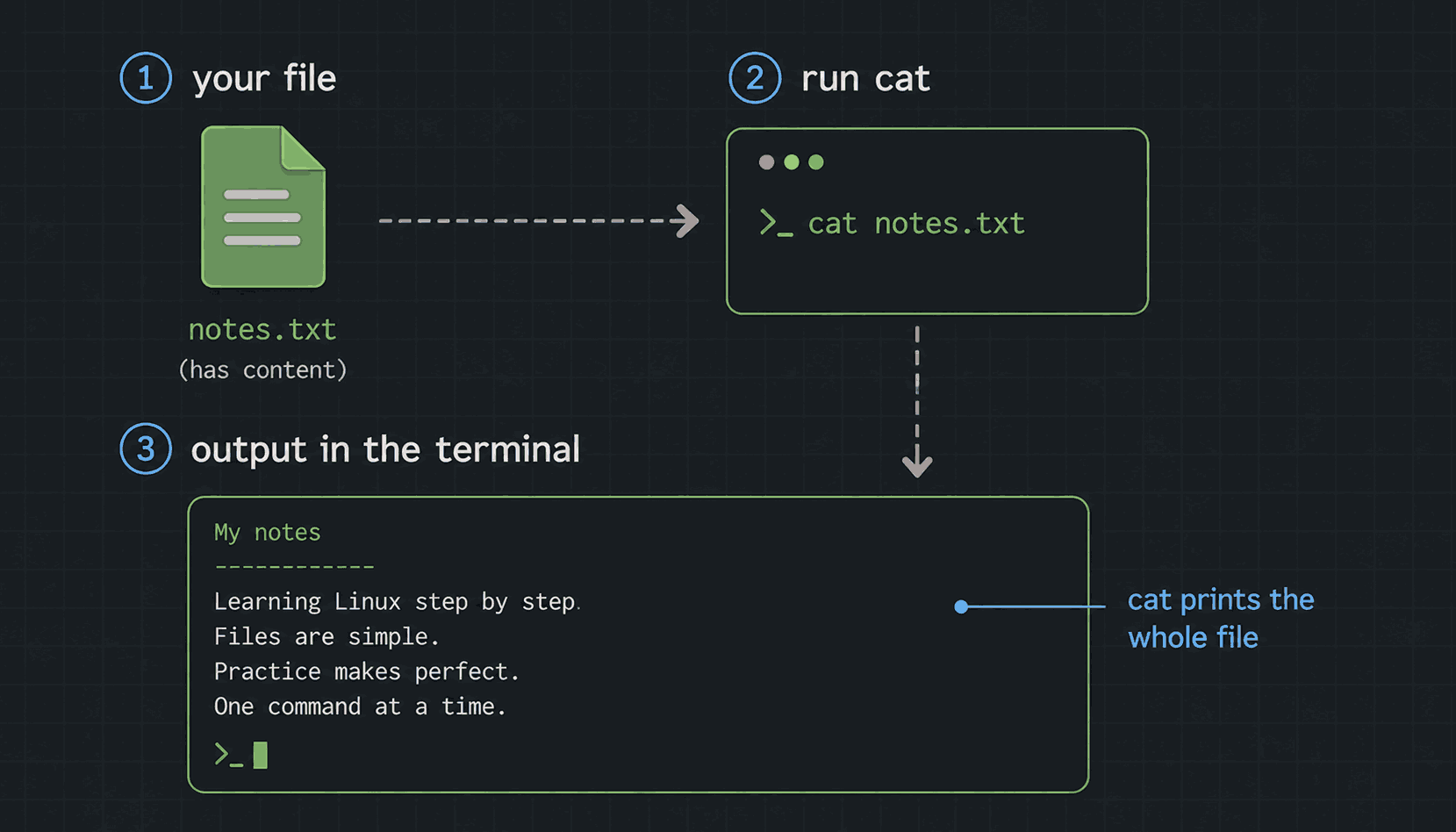 Three steps: a file with content, running cat notes.txt, and the whole file printed back in the terminal
