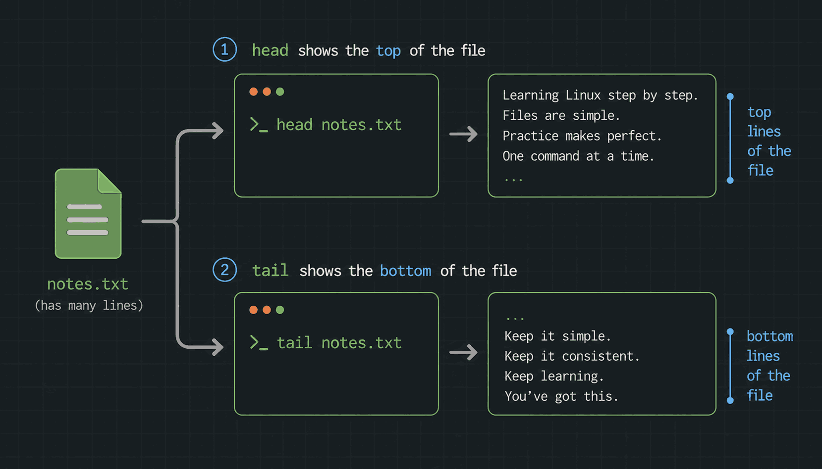 One file feeding two commands: head notes.txt returns the top lines of the file, tail notes.txt returns the bottom lines